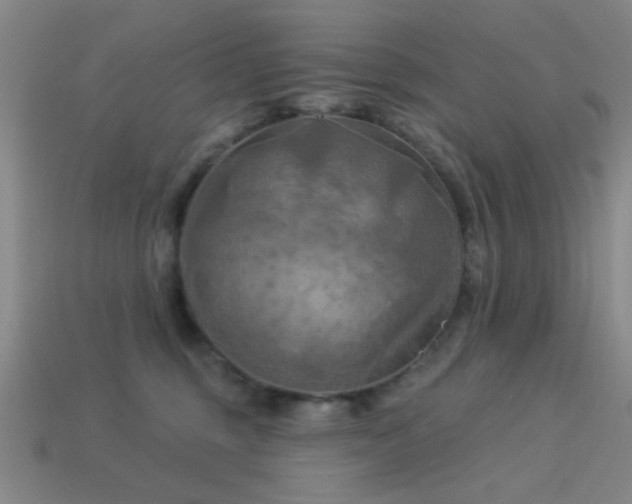 X0000113340375200909151136