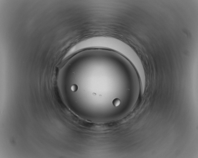 X0000113340376200909151136