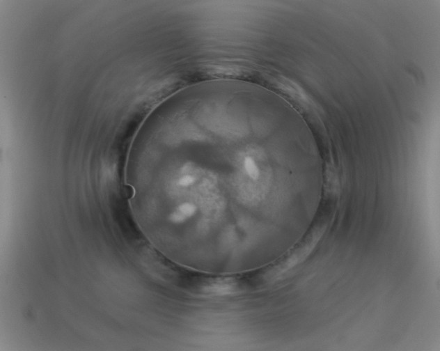 X0000113340377200909151136