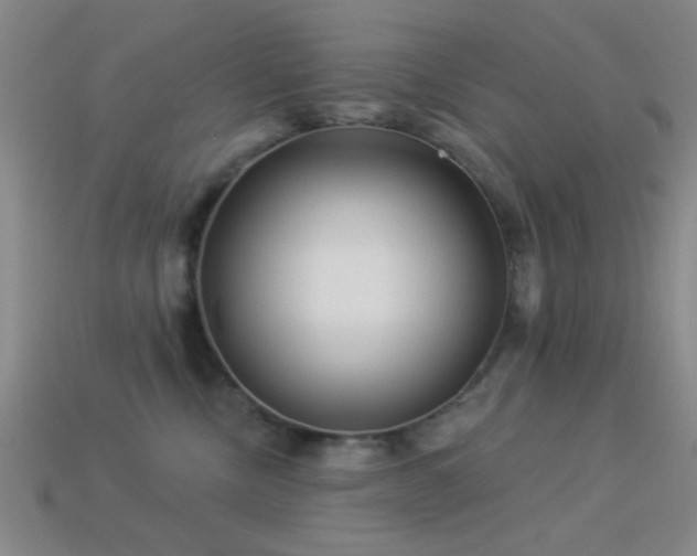 X0000113340378200909151136
