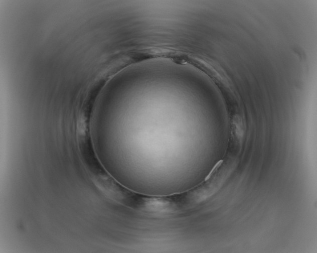 X0000113340380200909151136