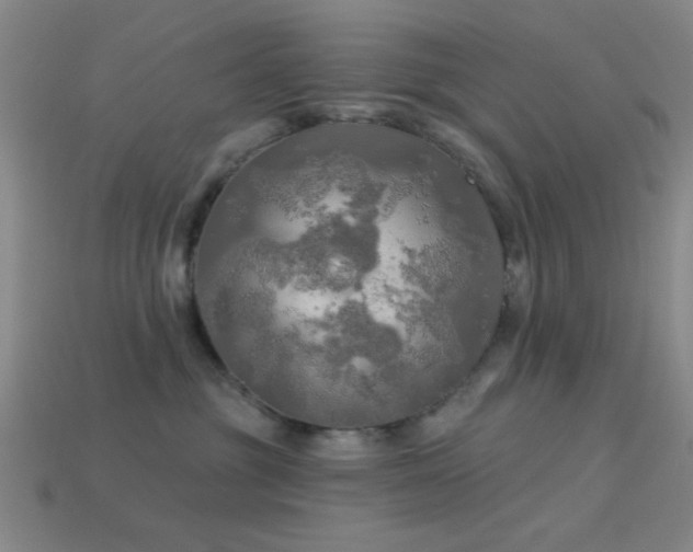 X0000113340381200909151136