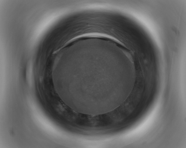 X0000113340382200909151136