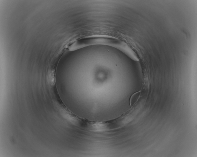 X0000113340383200909151136