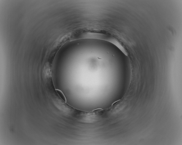 X0000113340384200909151136