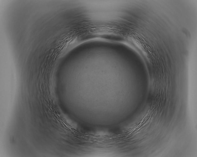 X0000113340385200909151135