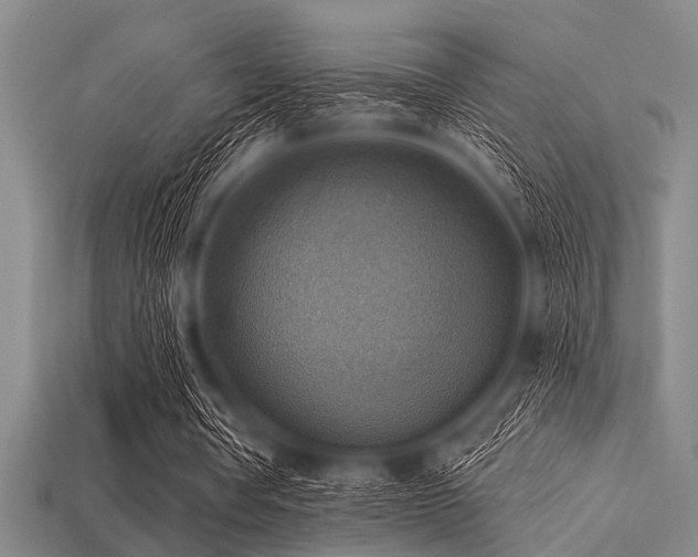 X0000113340386200909151135