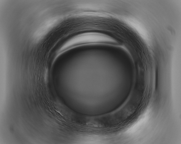 X0000113340387200909151135