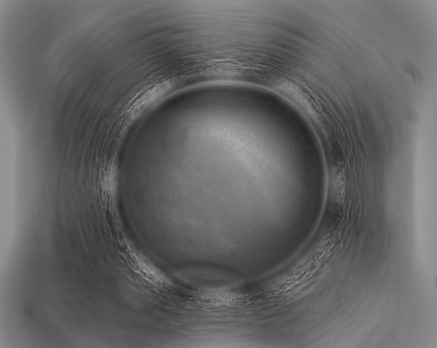 X0000113340389200909151135