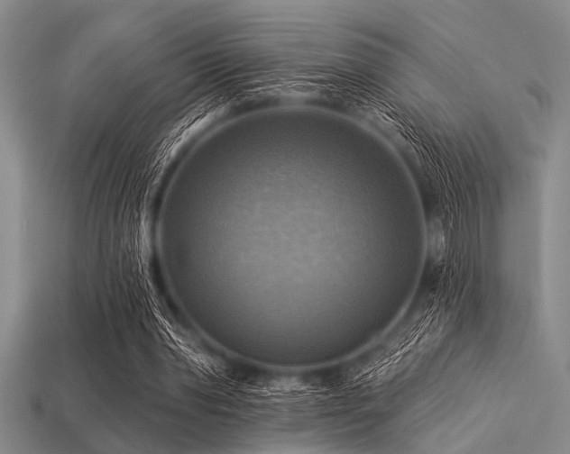 X0000113340390200909151135