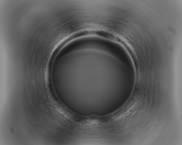 X0000113340391200909151135