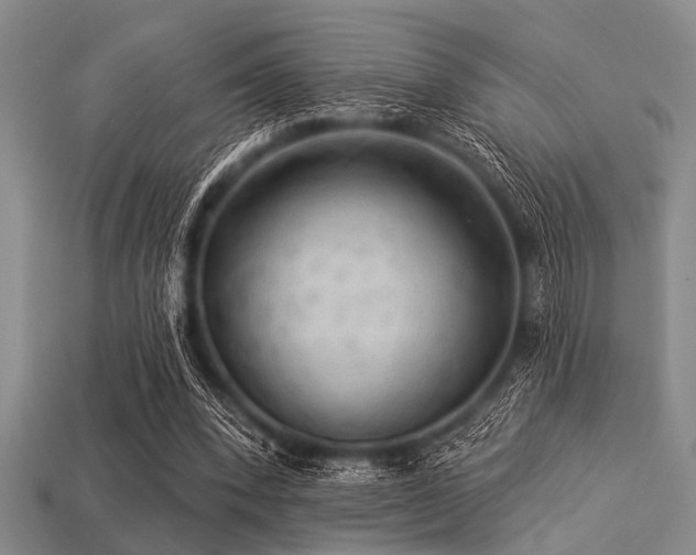 X0000113340392200909151135