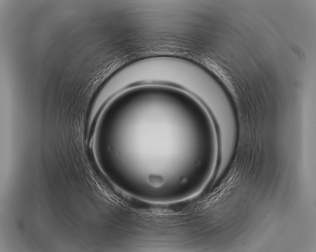 X0000113340393200909151135
