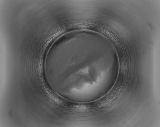 X0000113340394200909151135