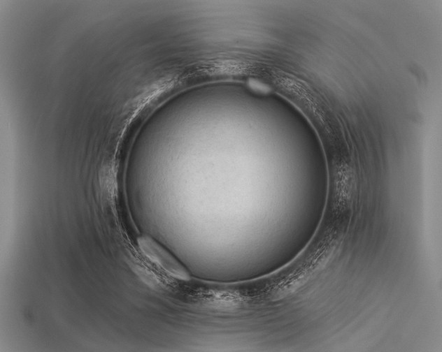 X0000113340395200909151135