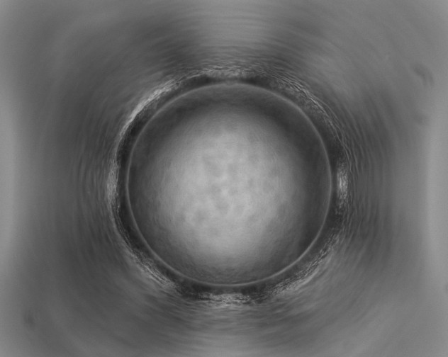 X0000113340396200909151135