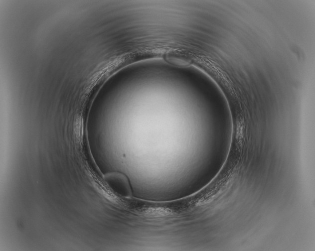 X0000113340397200909151135