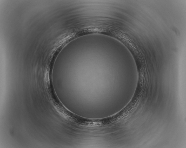X0000113340398200909151135