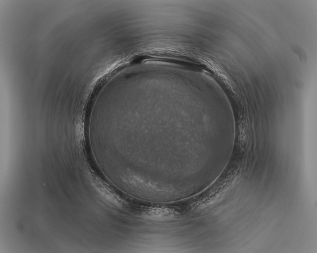 X0000113340399200909151135