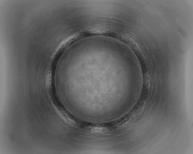 X0000113340400200909151135