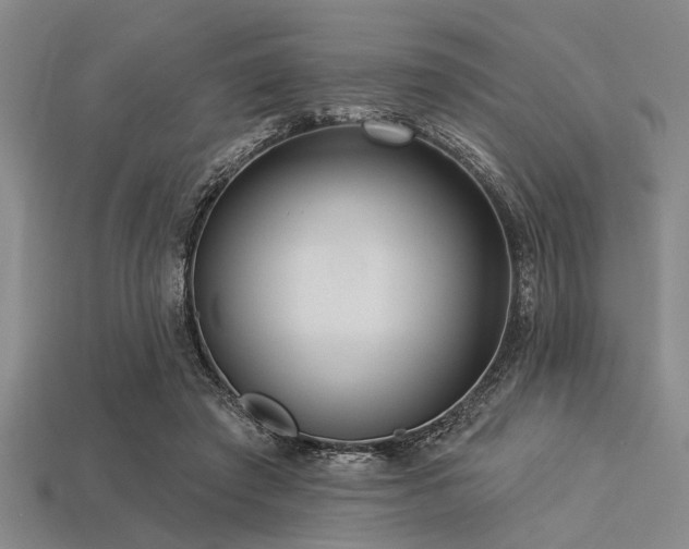 X0000113340401200909151135
