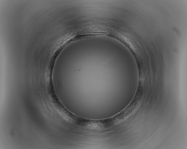 X0000113340402200909151135