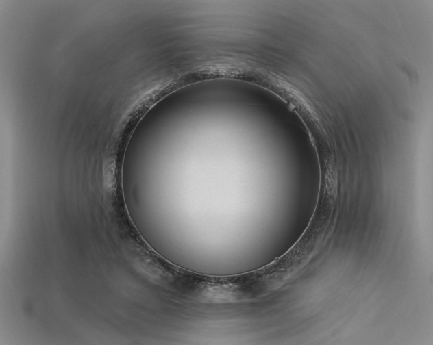 X0000113340403200909151135