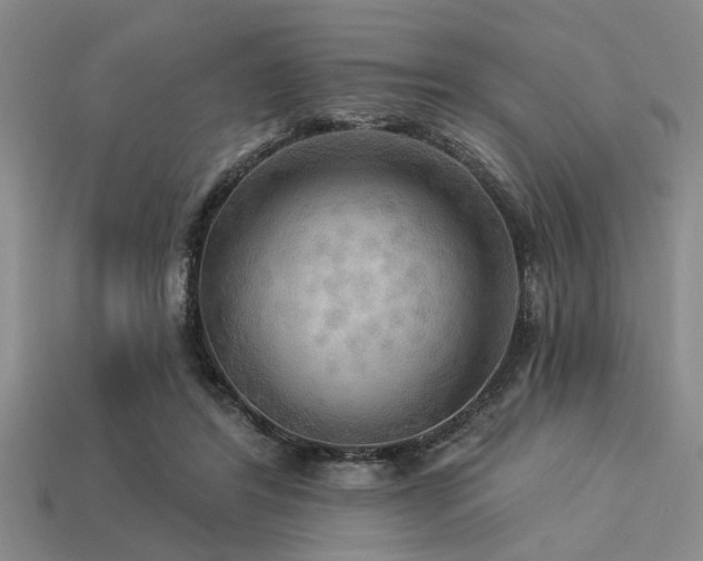 X0000113340404200909151135