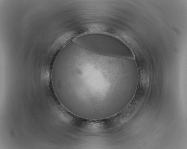 X0000113340405200909151135