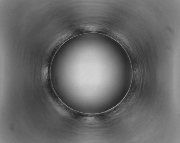 X0000113340406200909151135