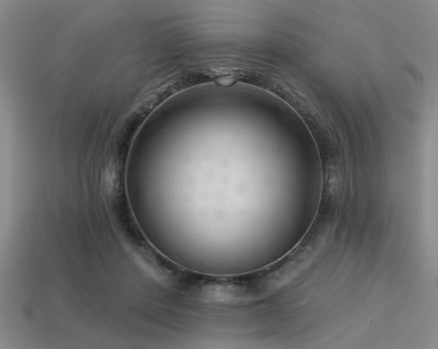 X0000113340408200909151135