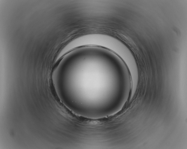 X0000113340409200909151135