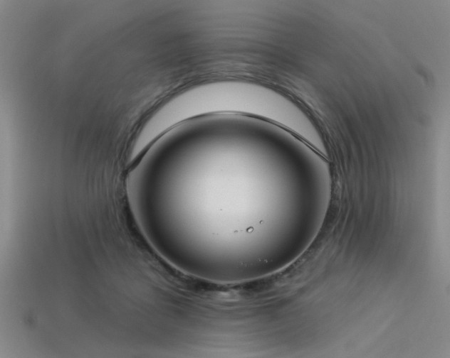 X0000113340411200909151135