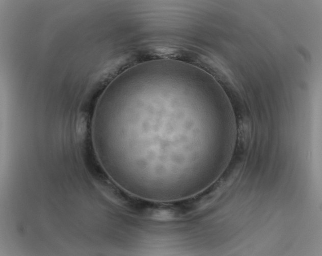 X0000113340412200909151135