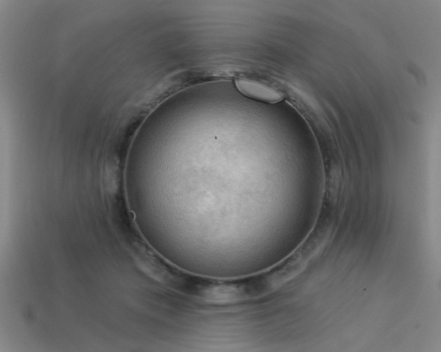 X0000113340413200909151135