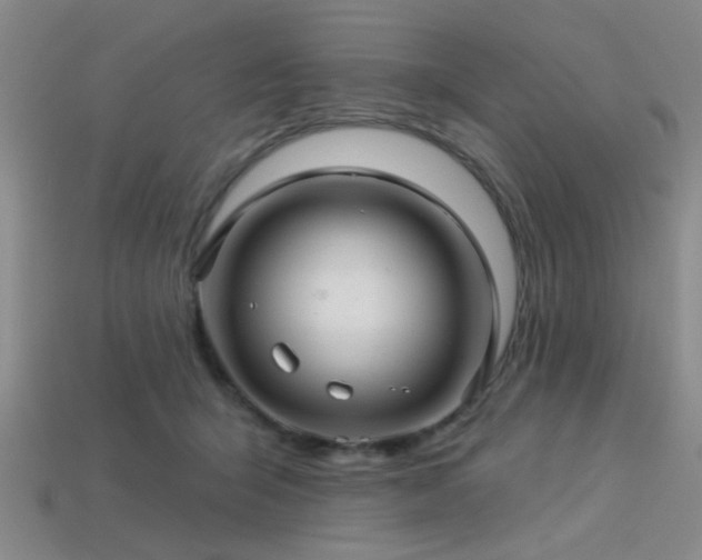 X0000113340415200909151135