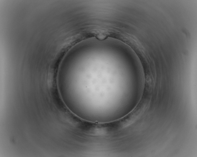 X0000113340416200909151135