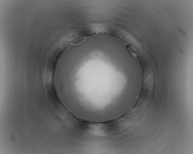 X0000113340417200909151135