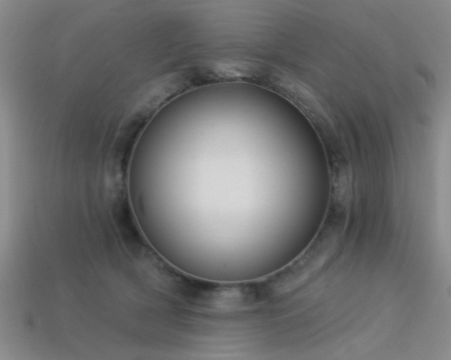 X0000113340418200909151135