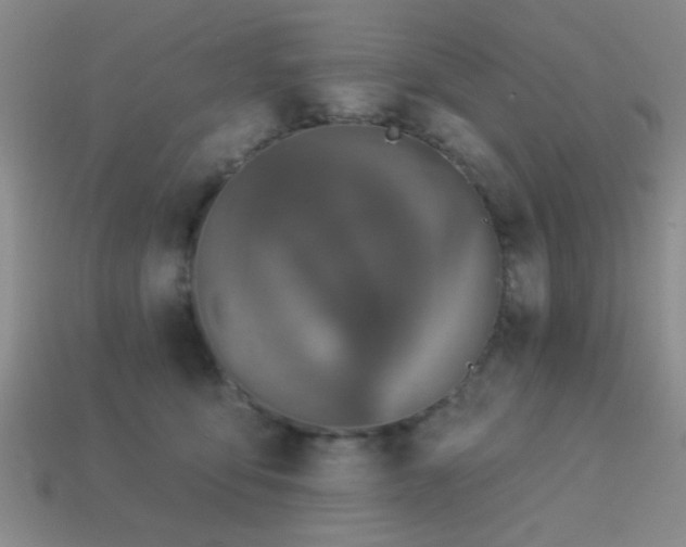 X0000113340419200909151135