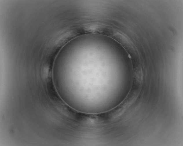 X0000113340420200909151135