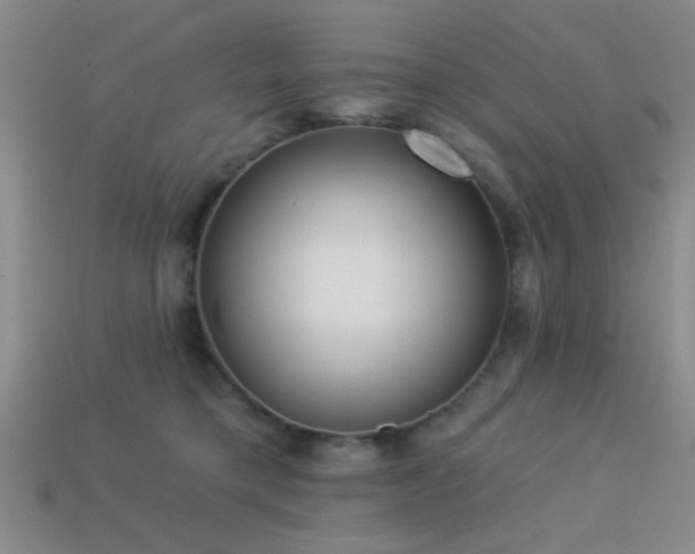 X0000113340421200909151135