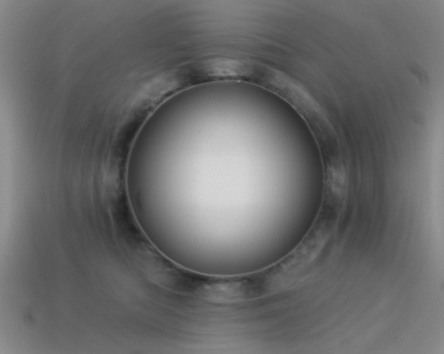 X0000113340422200909151135