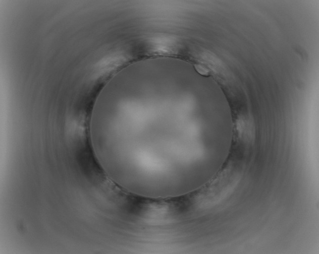 X0000113340423200909151135