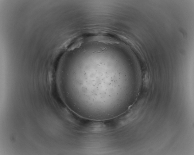 X0000113340424200909151135