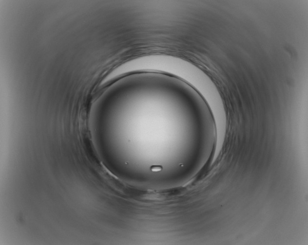 X0000113340425200909151135
