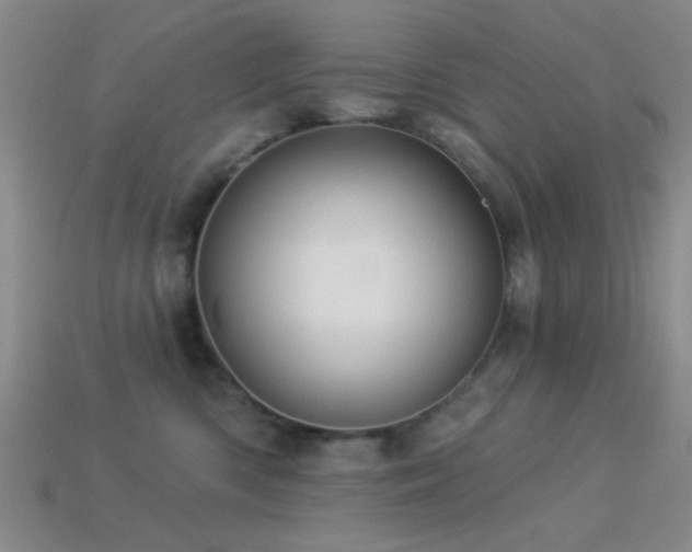 X0000113340426200909151135