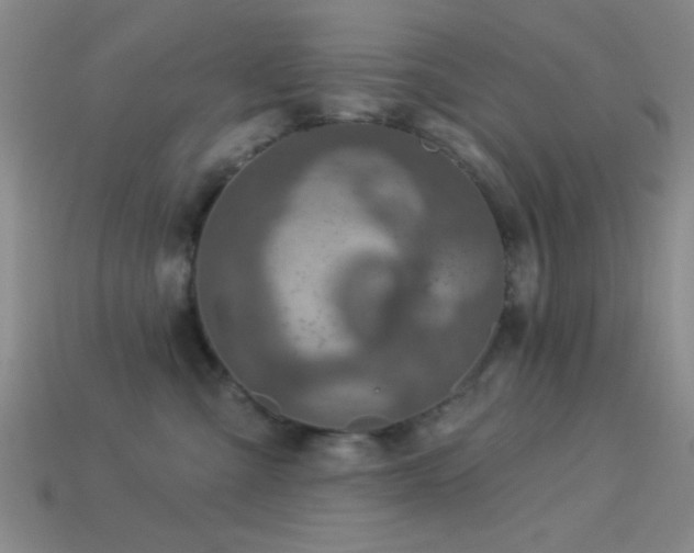 X0000113340427200909151135