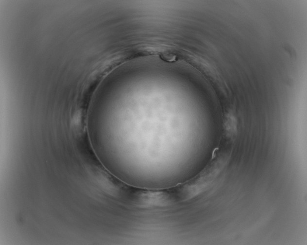 X0000113340428200909151135