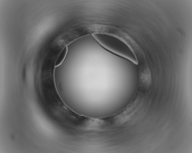 X0000113340429200909151135